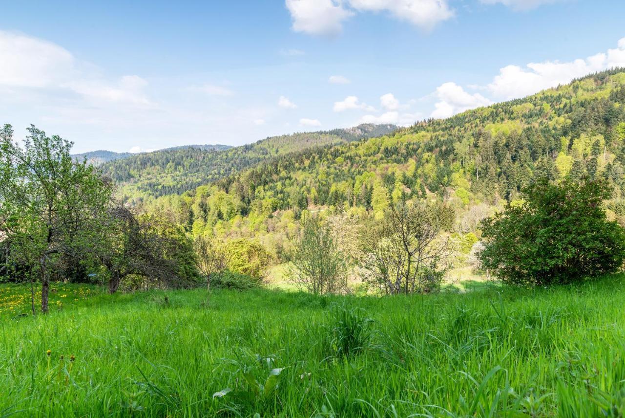 Ferienwohnung Fasse Bühlertal Kültér fotó